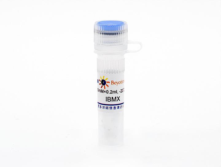 IBMX (PDEs抑制剂)